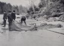 C0378.jpg